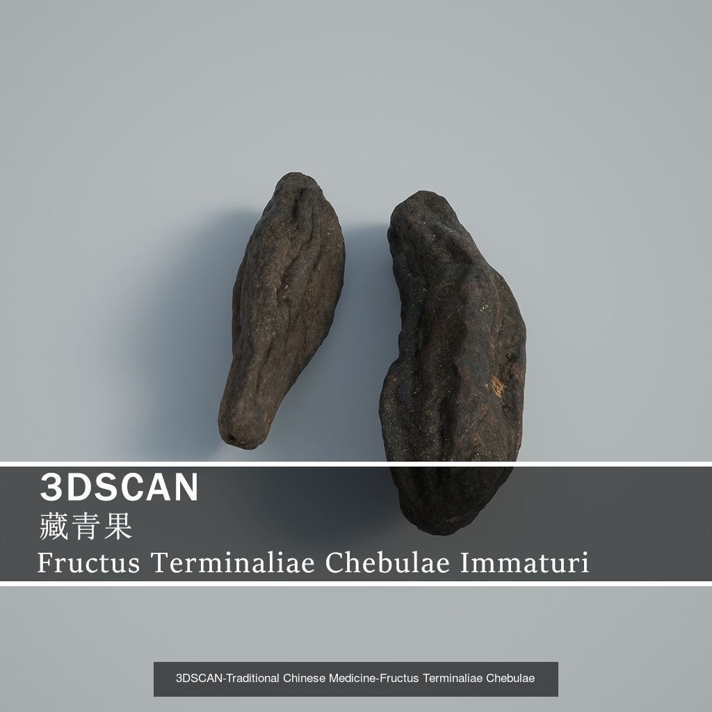3DSCAN-Traditional Chinese Medicine 3D Model Collection 03 _11