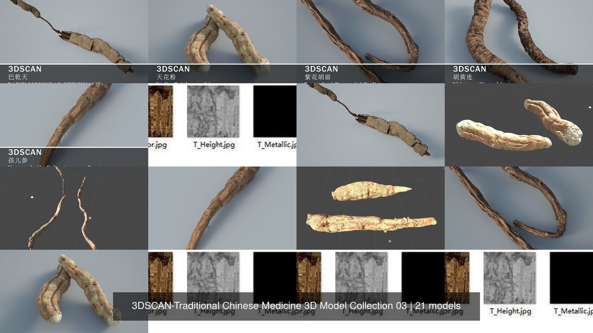 3DSCAN-Traditional Chinese Medicine 3D Model Collection 03 _4