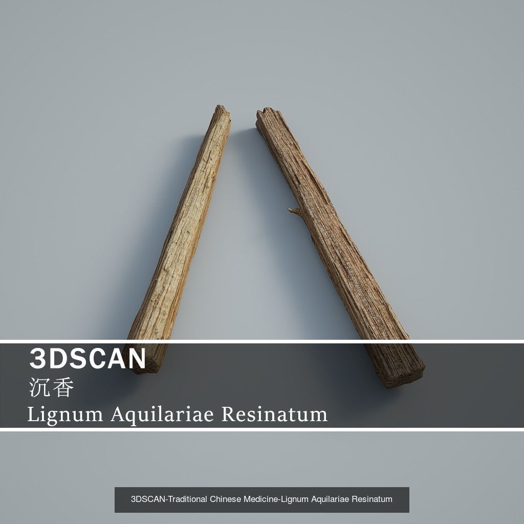 3DSCAN-Traditional Chinese Medicine 3D Model Collection 03 _9