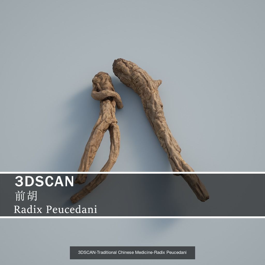 3DSCAN-Traditional Chinese Medicine 3D Model Collection 03 _21