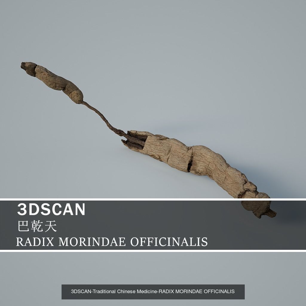 3DSCAN-Traditional Chinese Medicine 3D Model Collection 03 _22