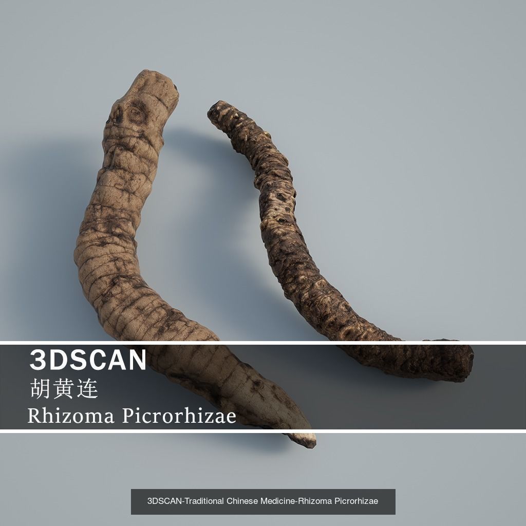 3DSCAN-Traditional Chinese Medicine 3D Model Collection 03 _25