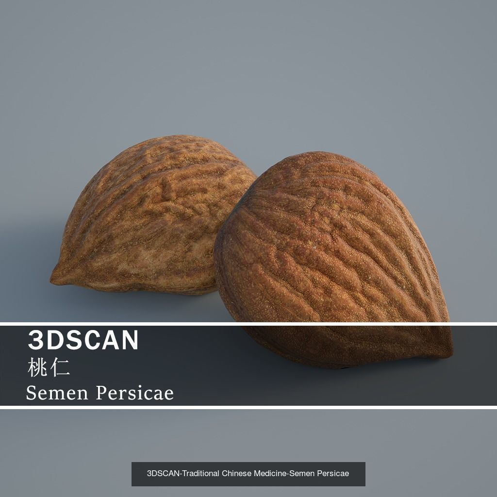 3DSCAN-Traditional Chinese Medicine 3D Model Collection 03 _16