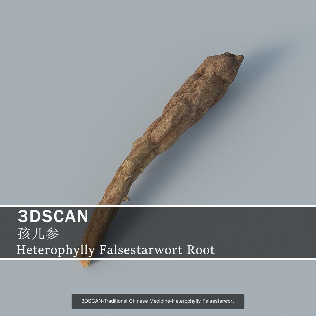 3DSCAN-Traditional Chinese Medicine 3D Model Collection 03 _26