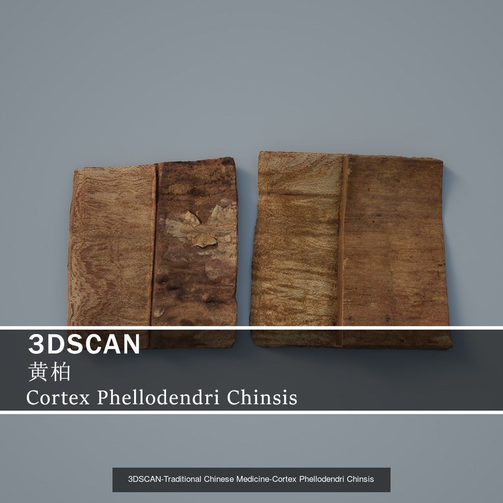 3DSCAN-Traditional Chinese Medicine 3D Model Collection 03 _14