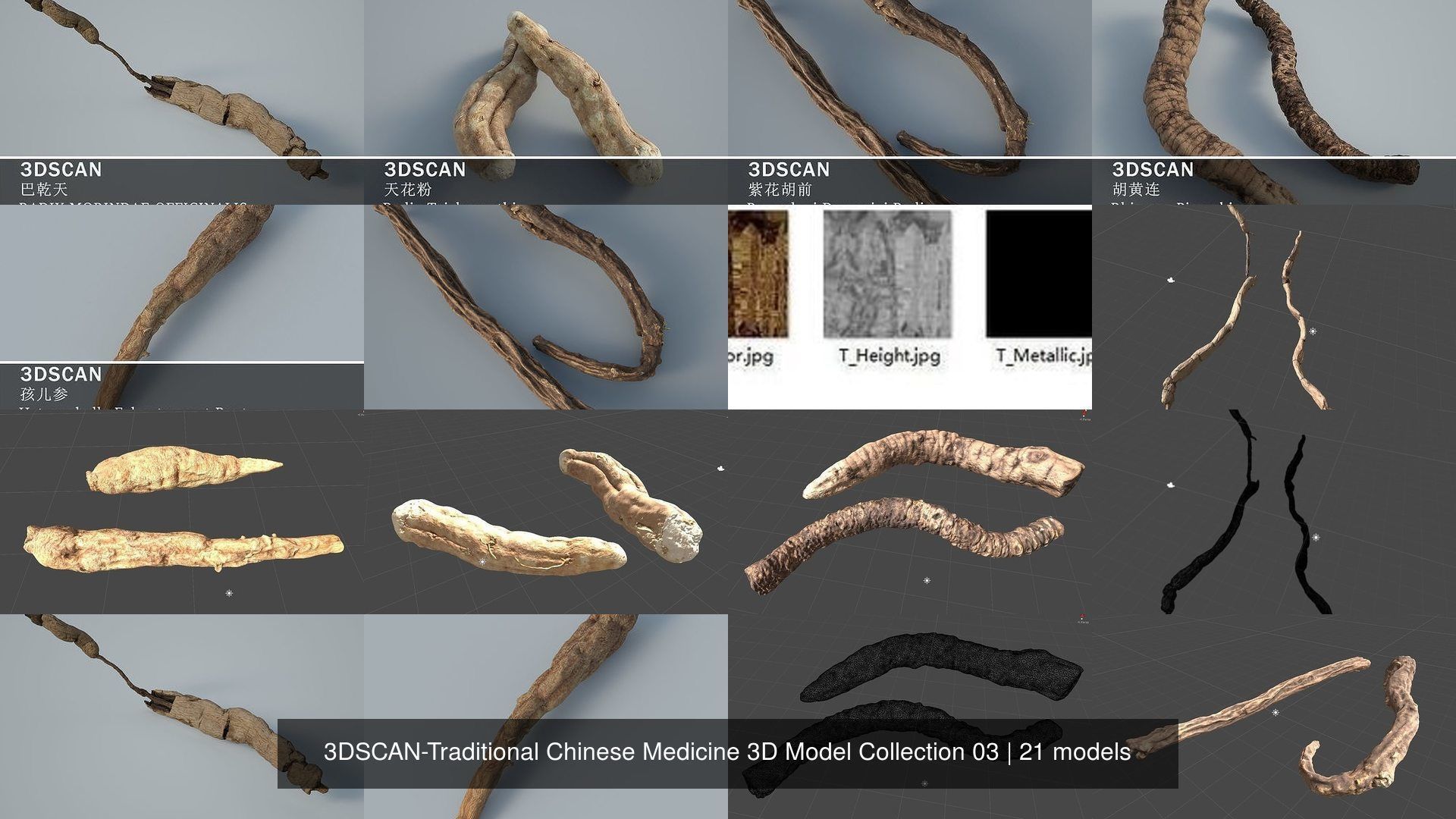 3DSCAN-Traditional Chinese Medicine 3D Model Collection 03 _3