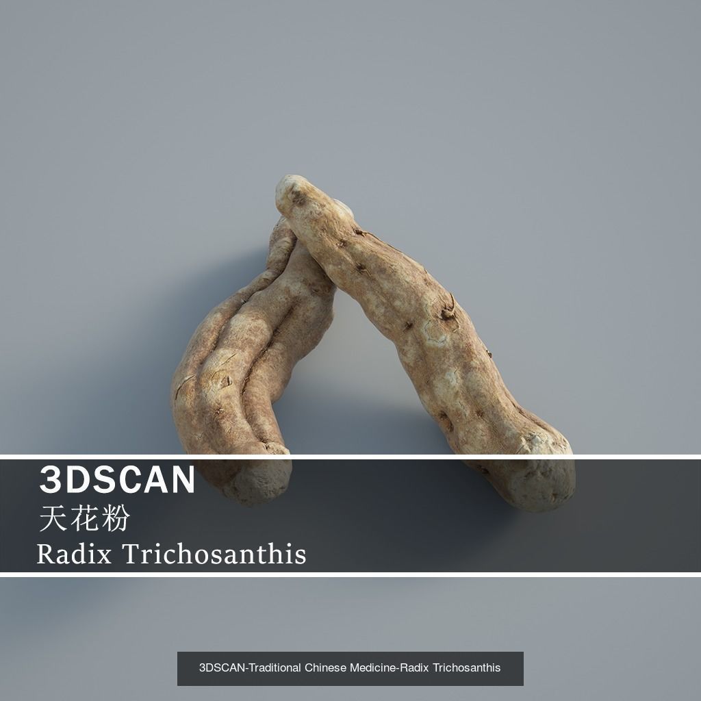 3DSCAN-Traditional Chinese Medicine 3D Model Collection 03 _23