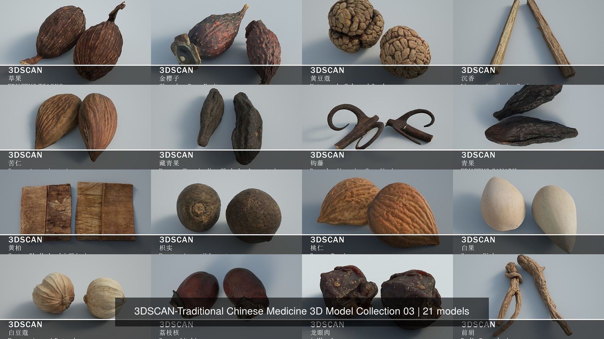 3DSCAN-Traditional Chinese Medicine 3D Model Collection 03 _2