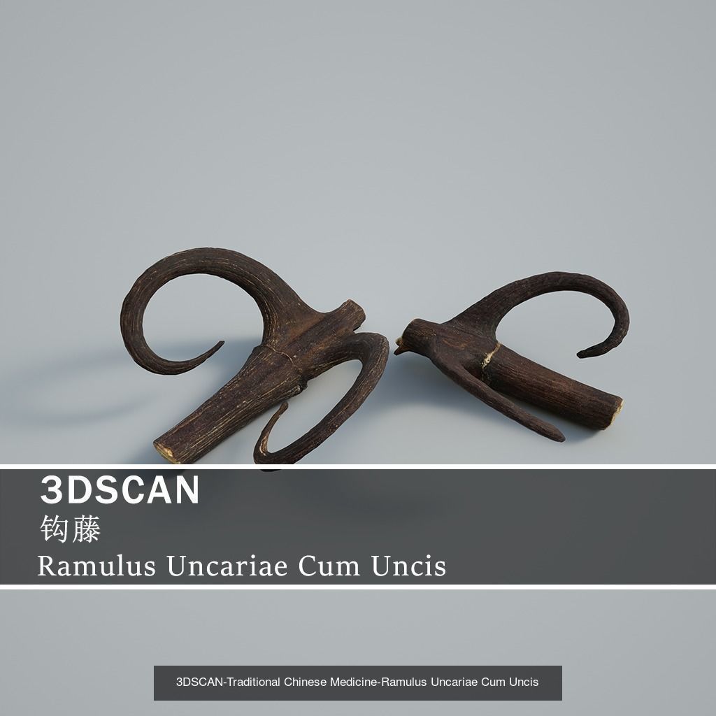 3DSCAN-Traditional Chinese Medicine 3D Model Collection 03 _12