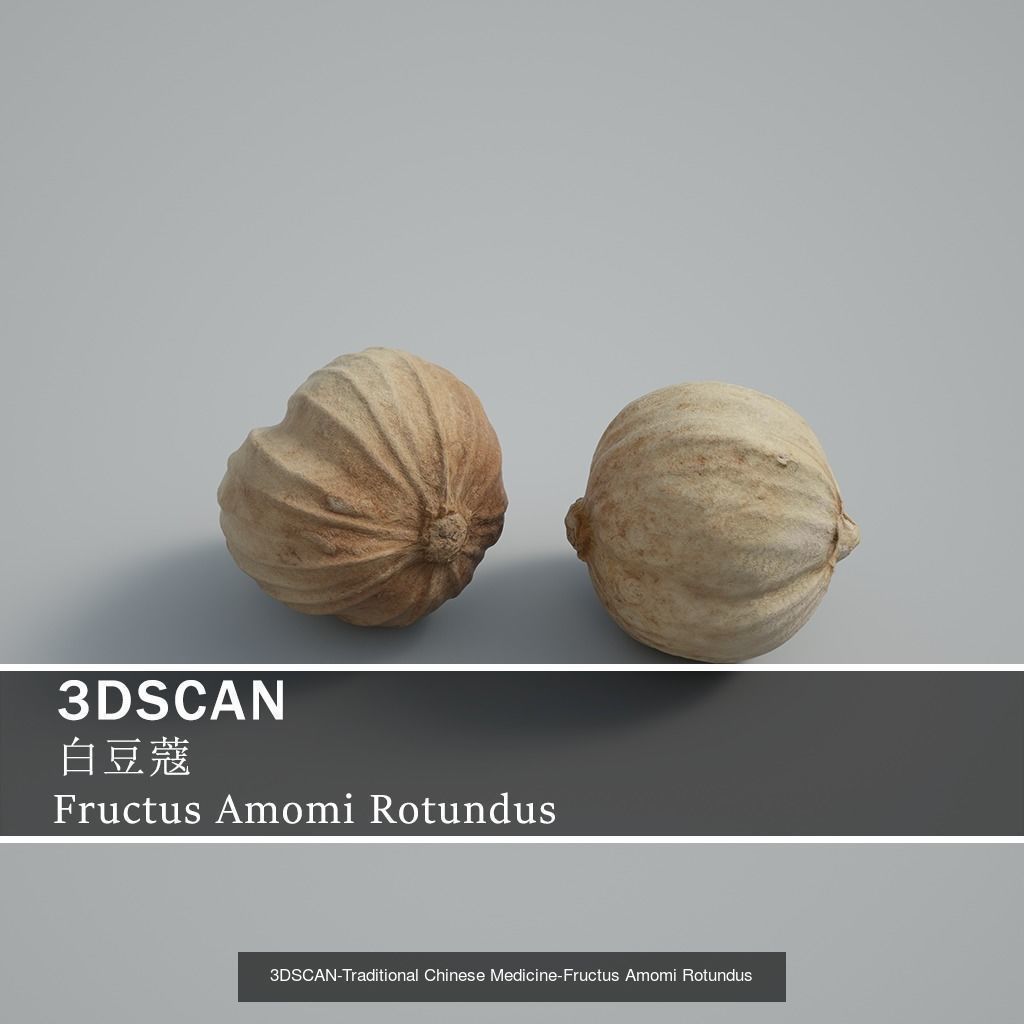 3DSCAN-Traditional Chinese Medicine 3D Model Collection 03 _18