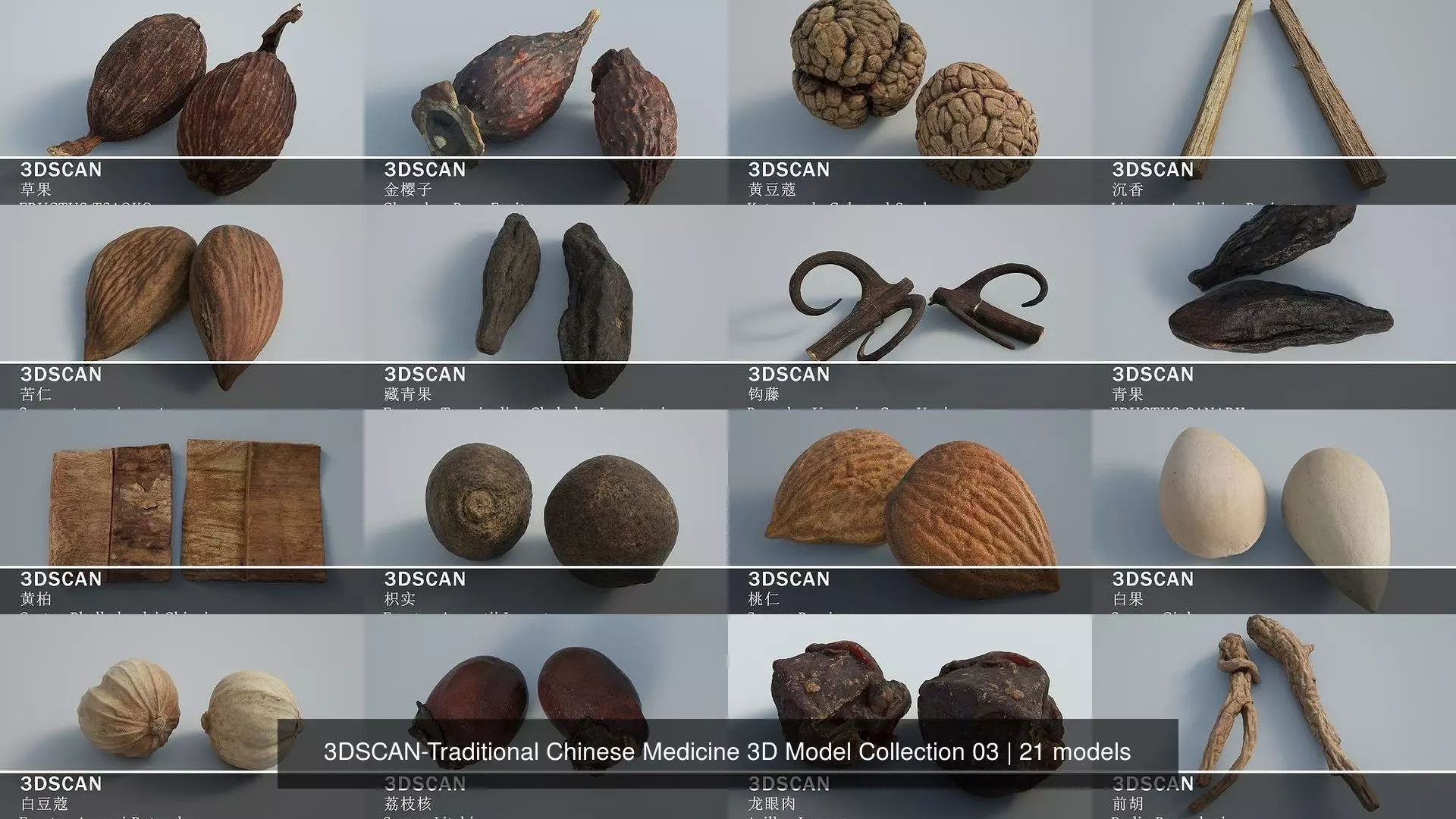 3DSCAN-Traditional Chinese Medicine 3D Model Collection 03 _1