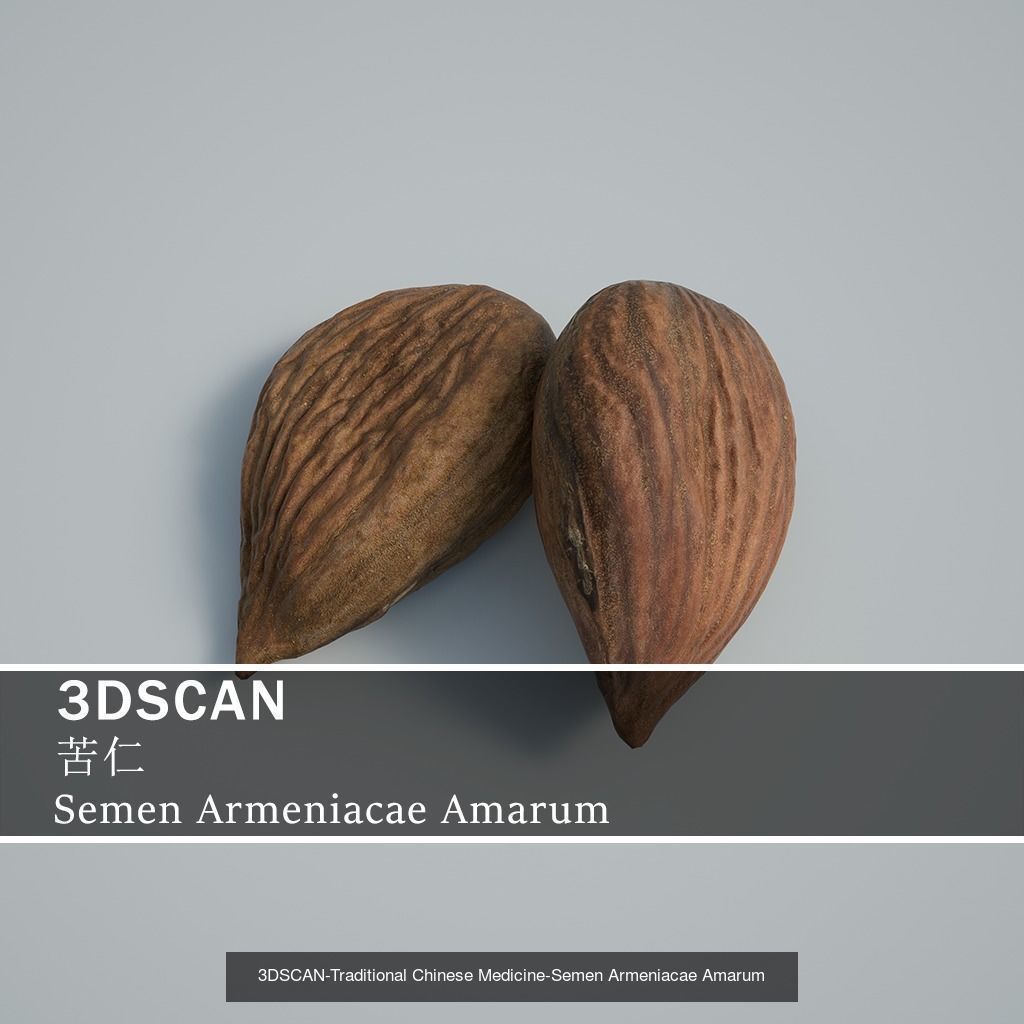3DSCAN-Traditional Chinese Medicine 3D Model Collection 03 _10
