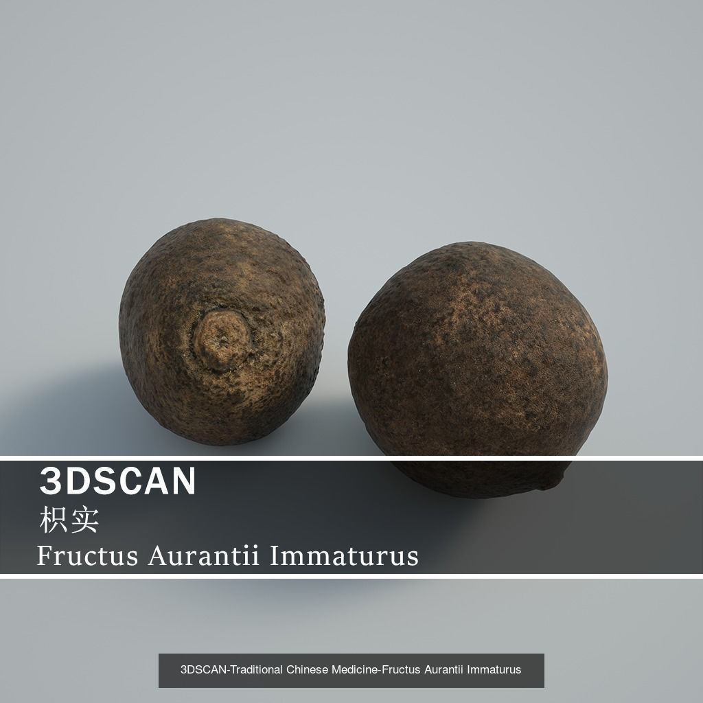 3DSCAN-Traditional Chinese Medicine 3D Model Collection 03 _15