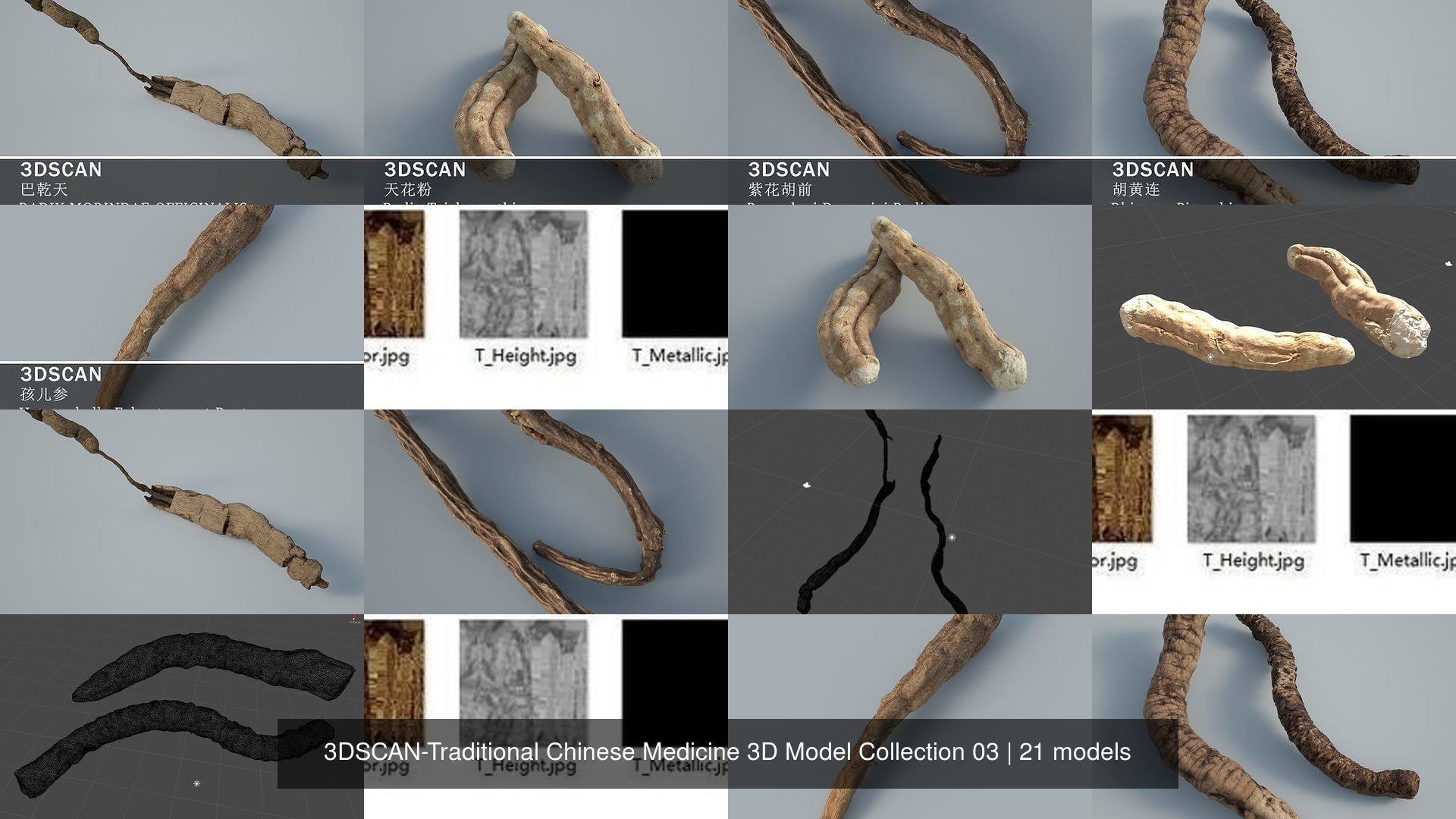 3DSCAN-Traditional Chinese Medicine 3D Model Collection 03 _5