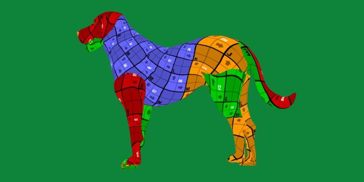 Akbash Dog Low-poly 3D model_12