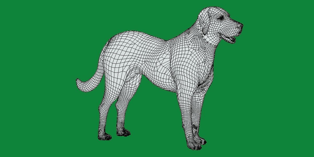 Akbash Dog Low-poly 3D model_9