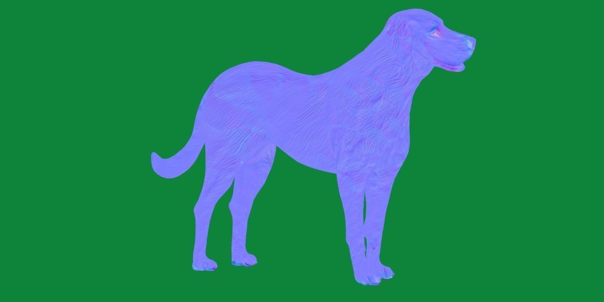 Akbash Dog Low-poly 3D model_22