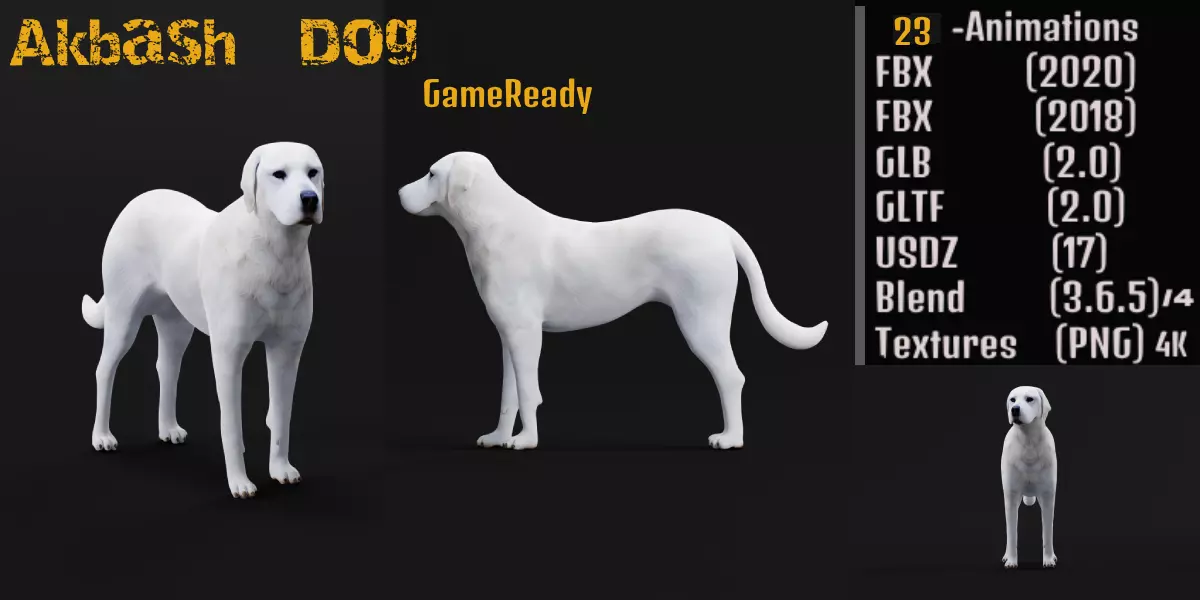 Akbash Dog Low-poly 3D model_0