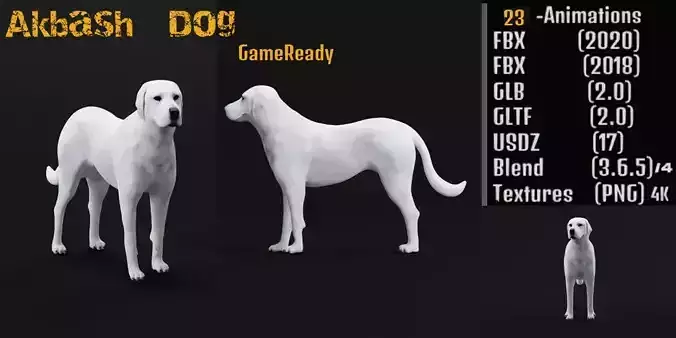 Akbash Dog Low-poly 3D model