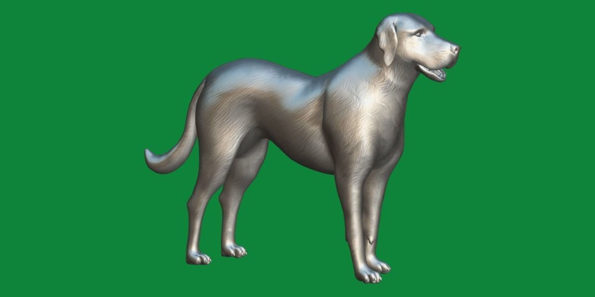 Akbash Dog Low-poly 3D model_8