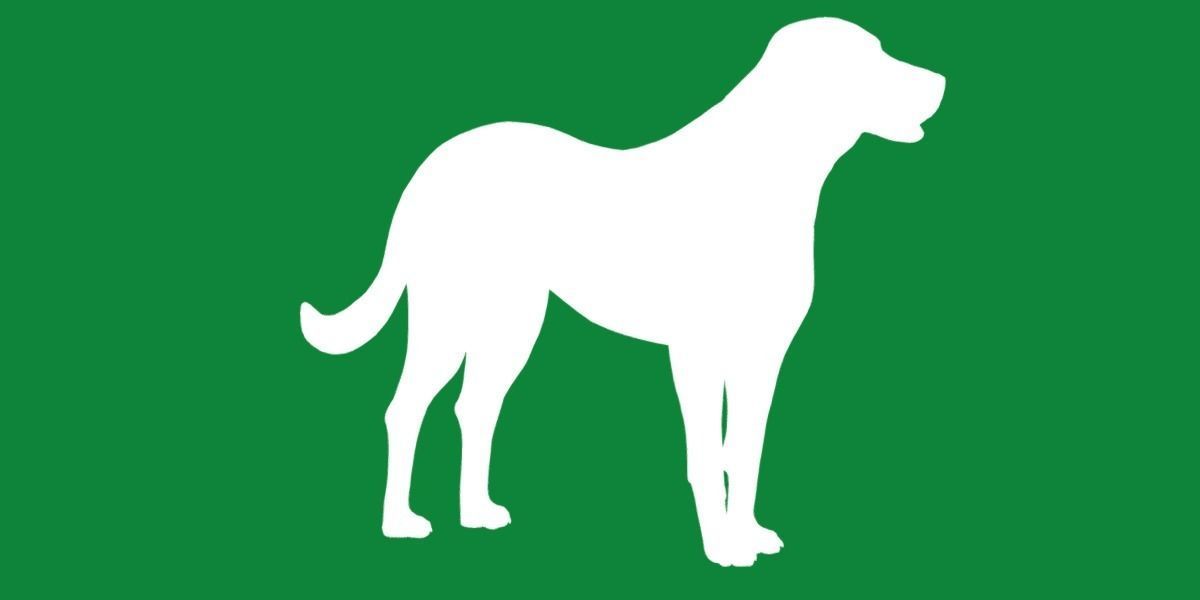 Akbash Dog Low-poly 3D model_21