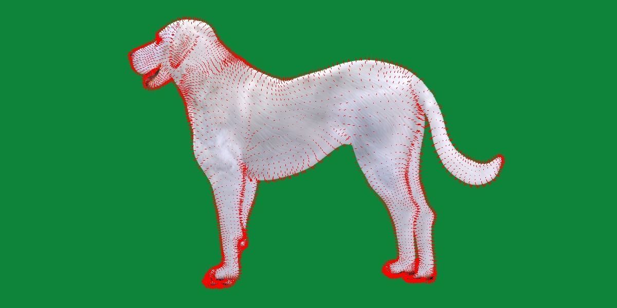 Akbash Dog Low-poly 3D model_11