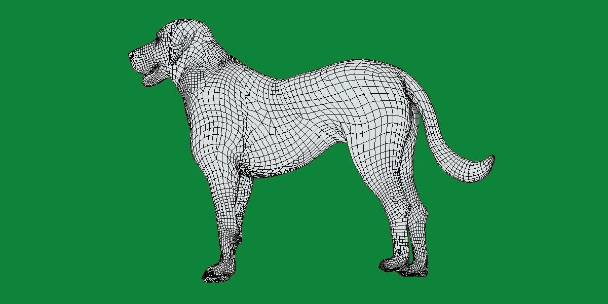 Akbash Dog Low-poly 3D model_10