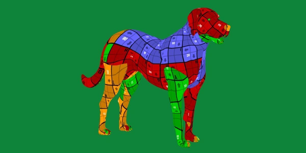 Akbash Dog Low-poly 3D model_13