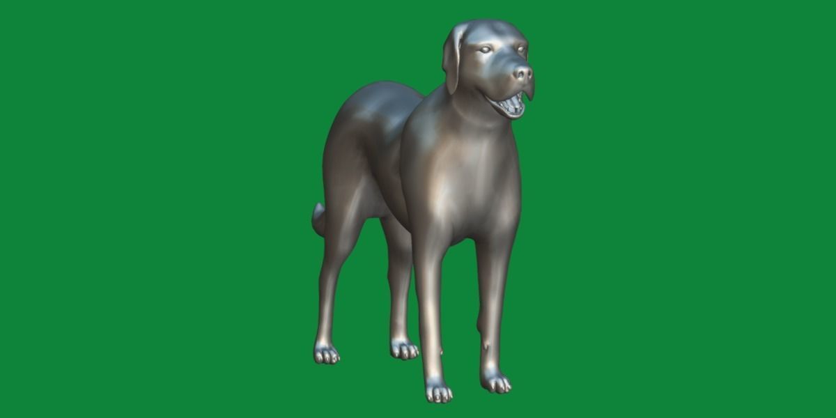 Akbash Dog Low-poly 3D model_7