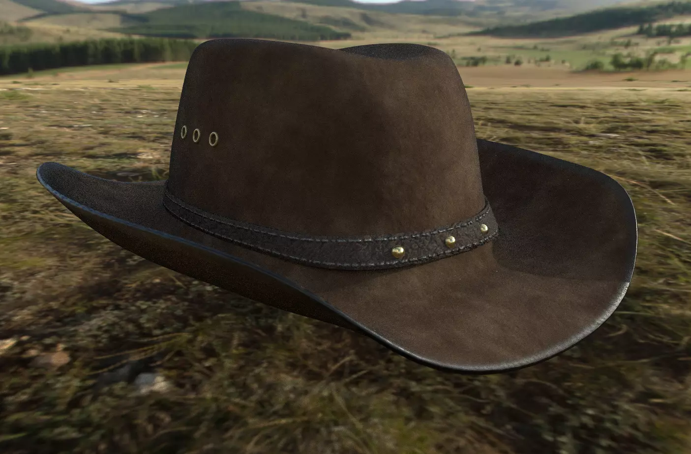 Cowboy hat Free 3D model