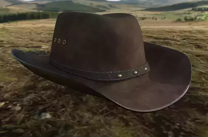 Cowboy hat Free 3D model