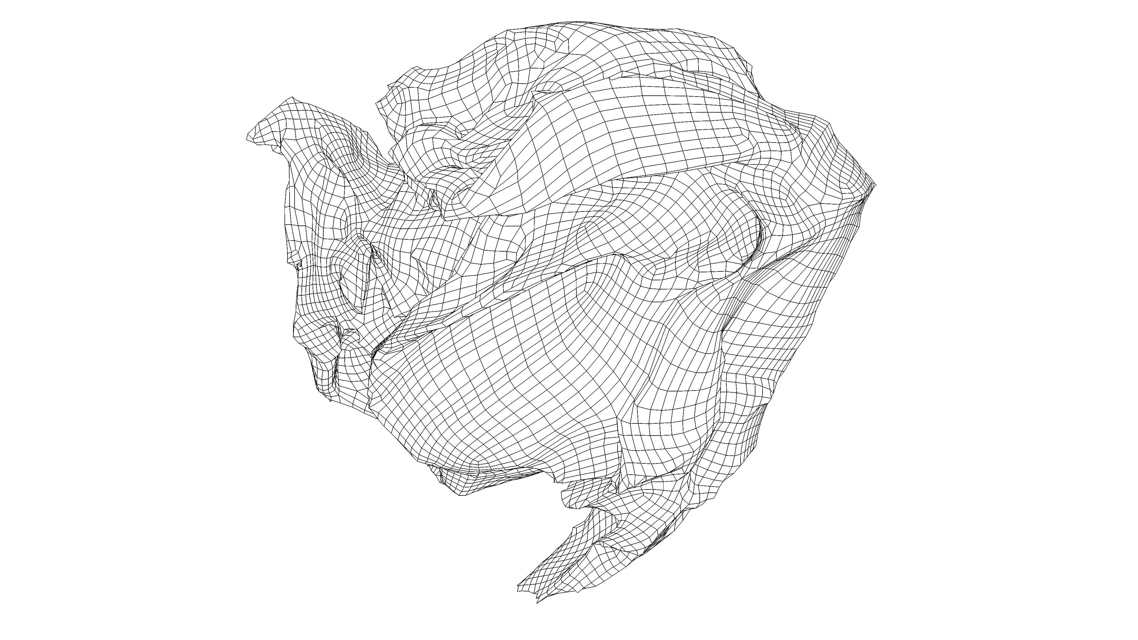 Scanned crumpled paper Low-poly 3D model_3