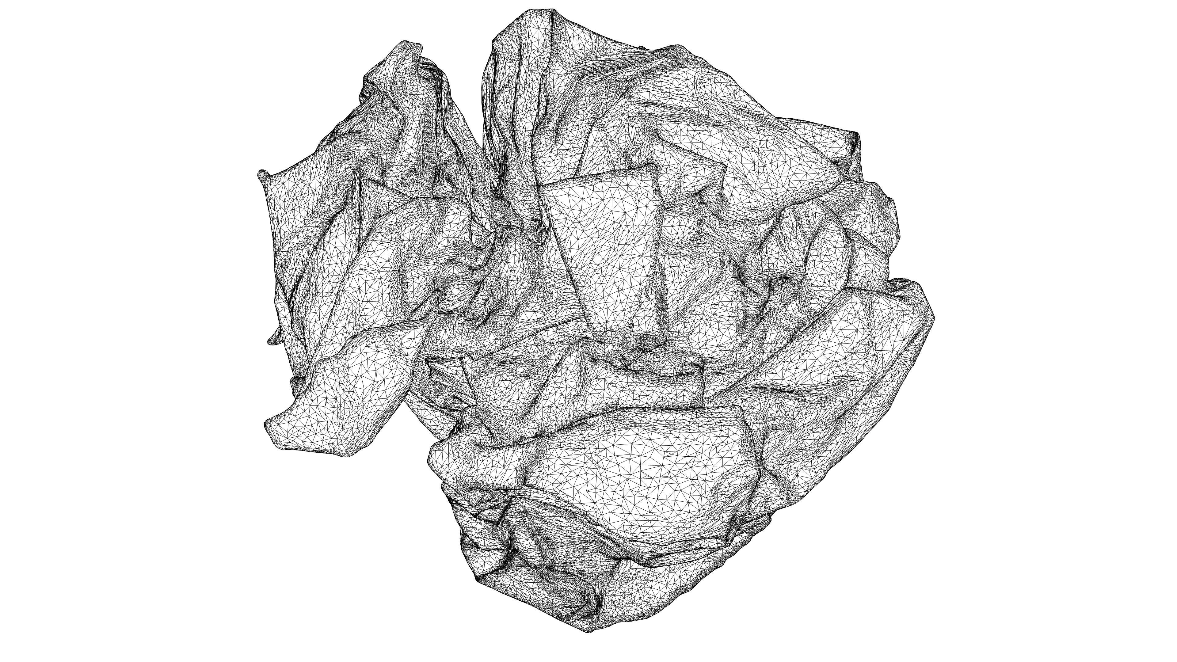 Scanned crumpled paper Low-poly 3D model_19