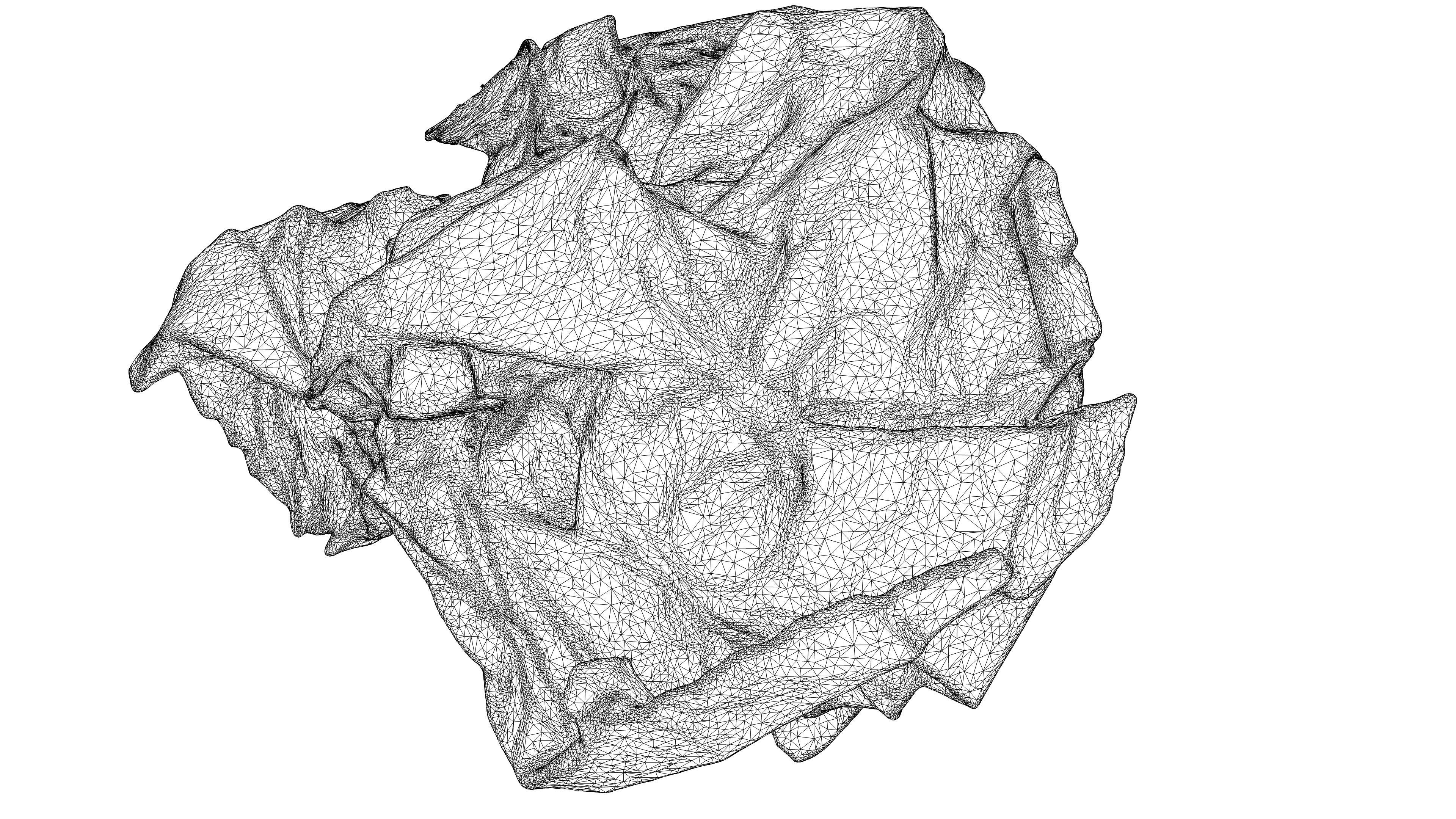 Scanned crumpled paper Low-poly 3D model_18