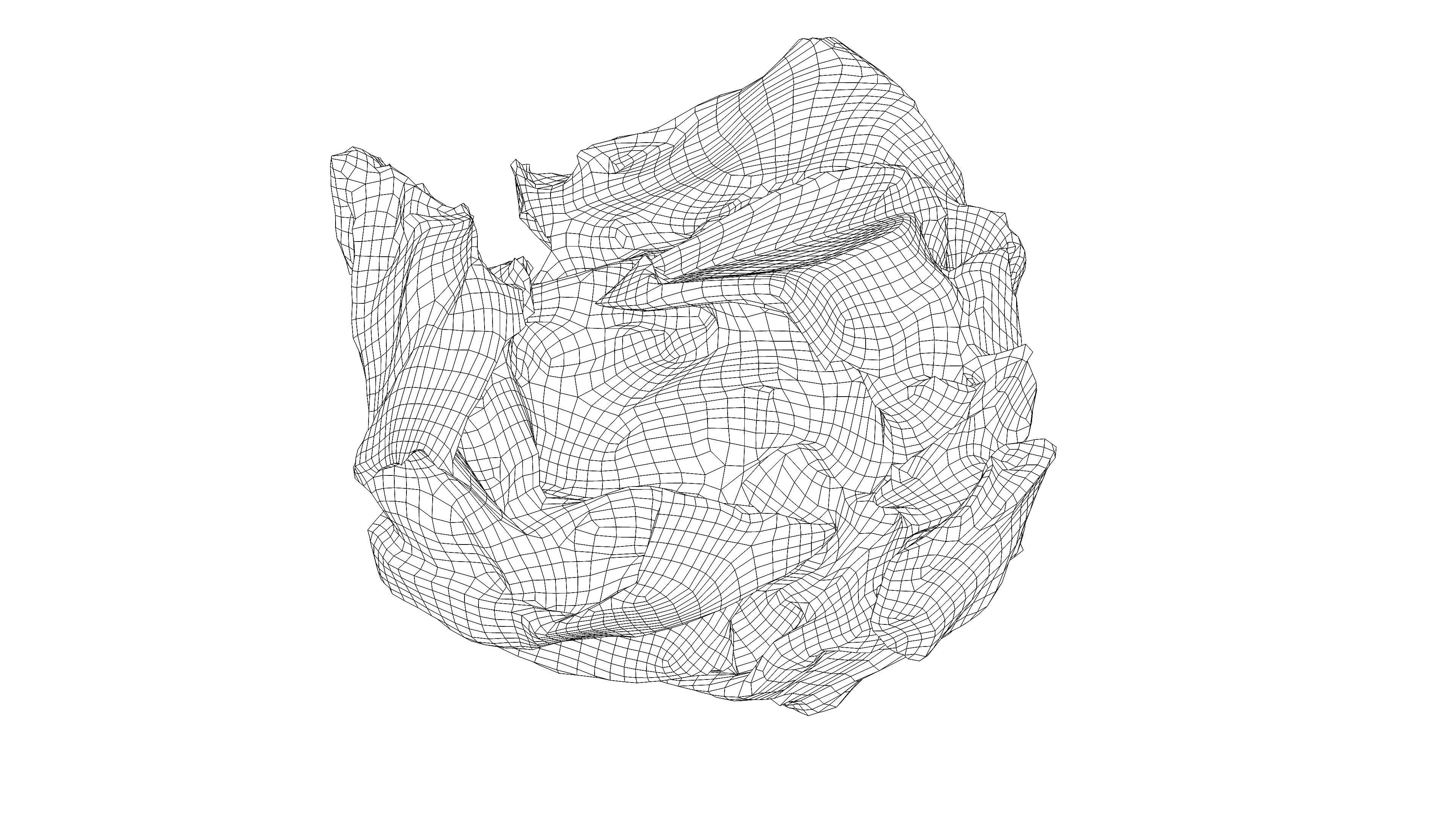 Scanned crumpled paper Low-poly 3D model_14