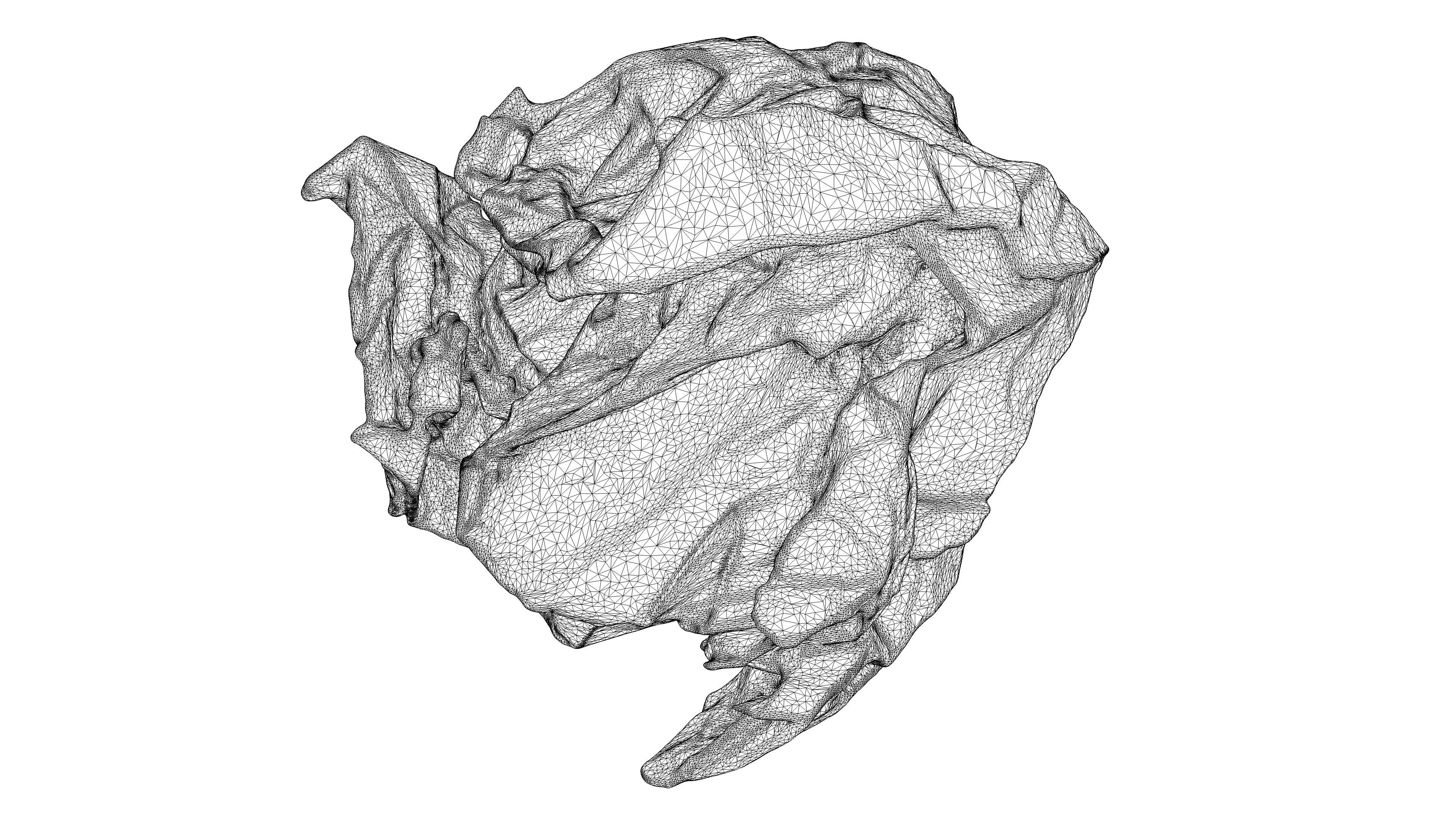 Scanned crumpled paper Low-poly 3D model_17
