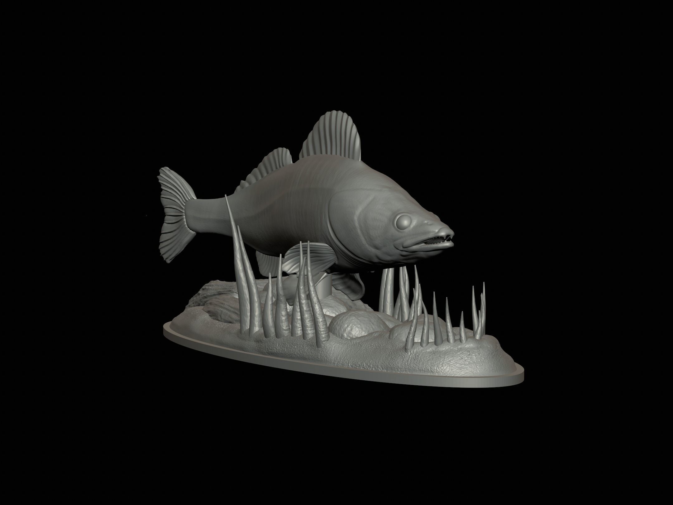 fish zander in motion underwater statue detailed texture  3D print model_14