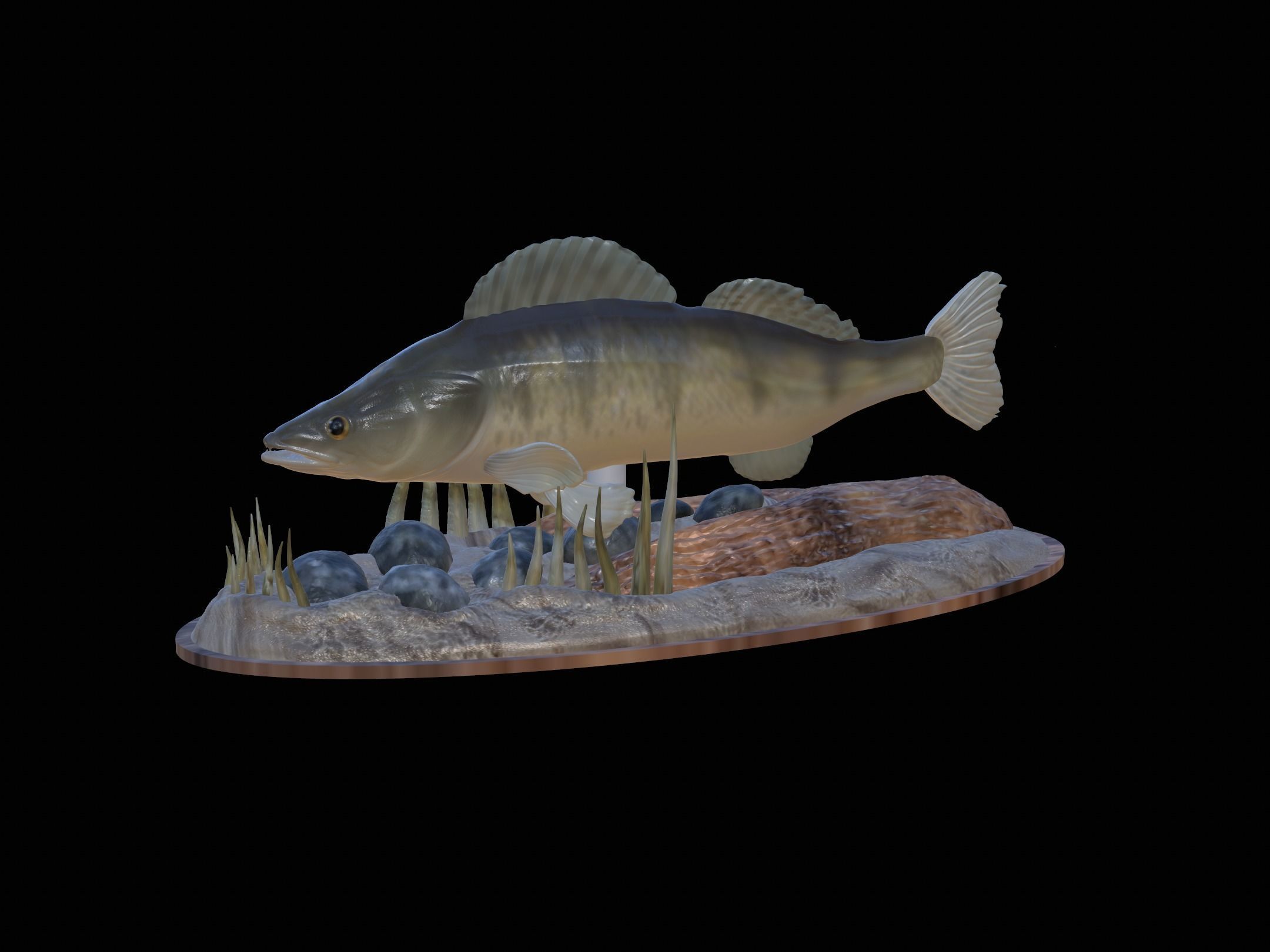 fish zander in motion underwater statue detailed texture  3D print model_27