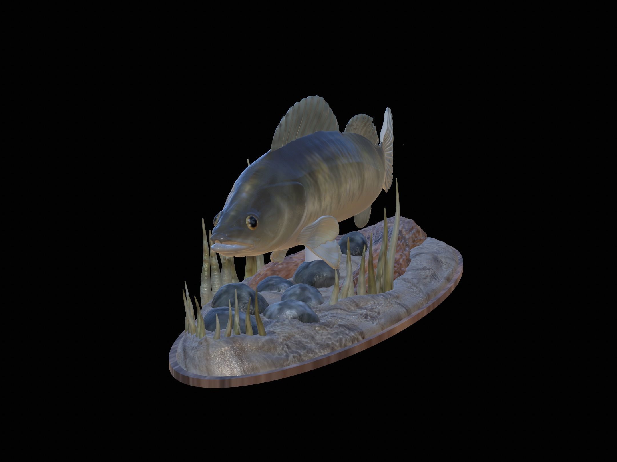 fish zander in motion underwater statue detailed texture  3D print model_11