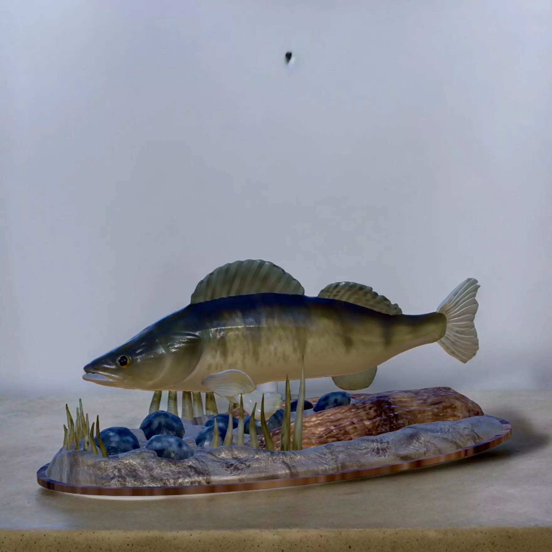 fish zander in motion underwater statue detailed texture  3D print model_0