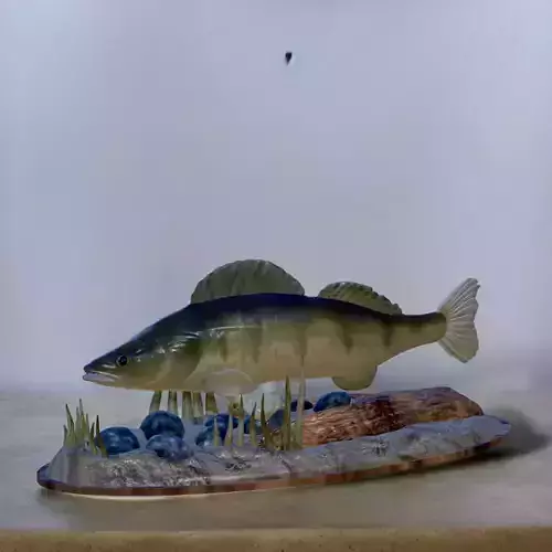 fish zander in motion underwater statue detailed texture  3D print model