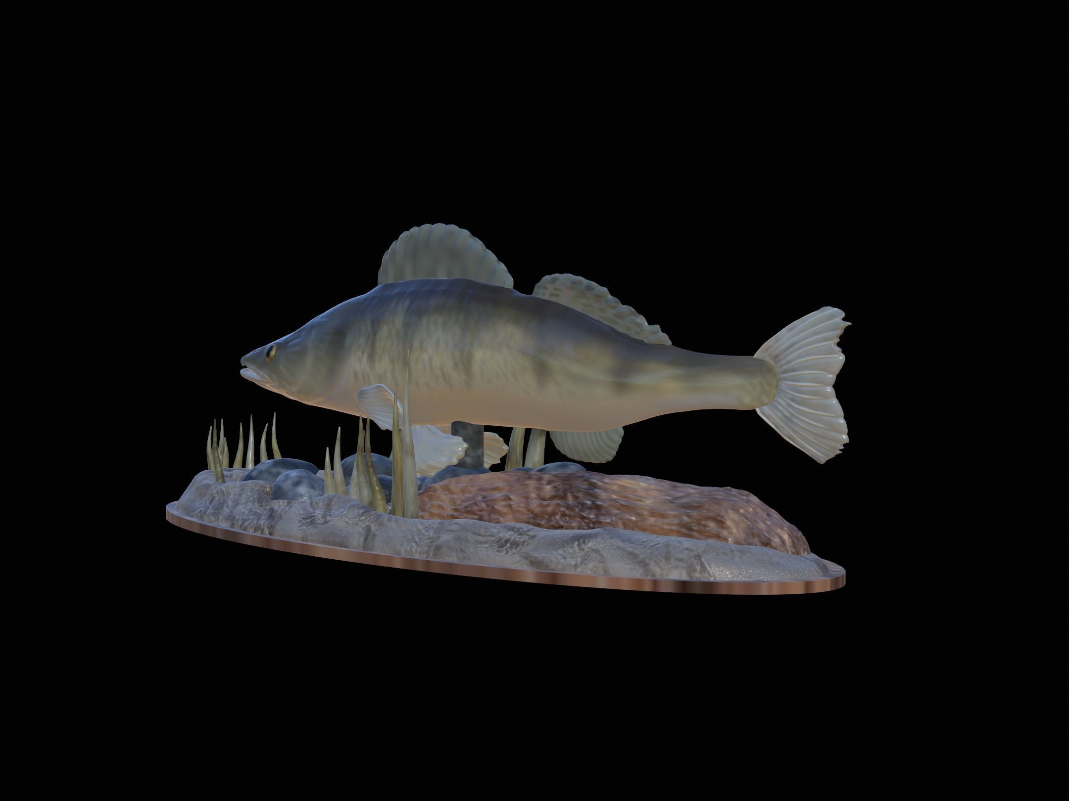 fish zander in motion underwater statue detailed texture  3D print model_1