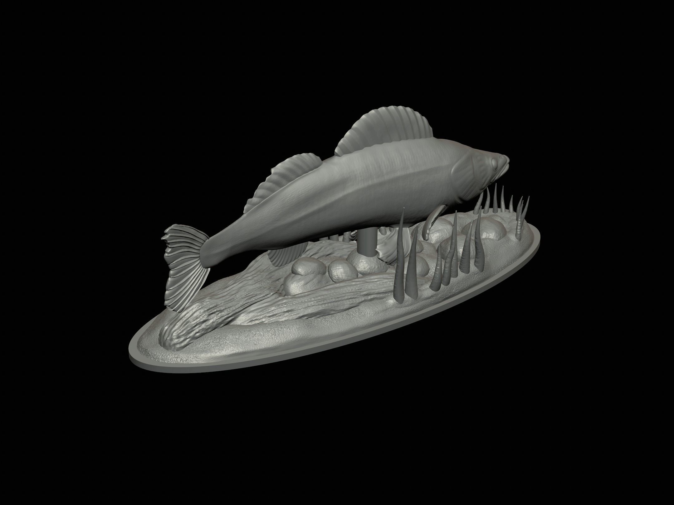 fish zander in motion underwater statue detailed texture  3D print model_16