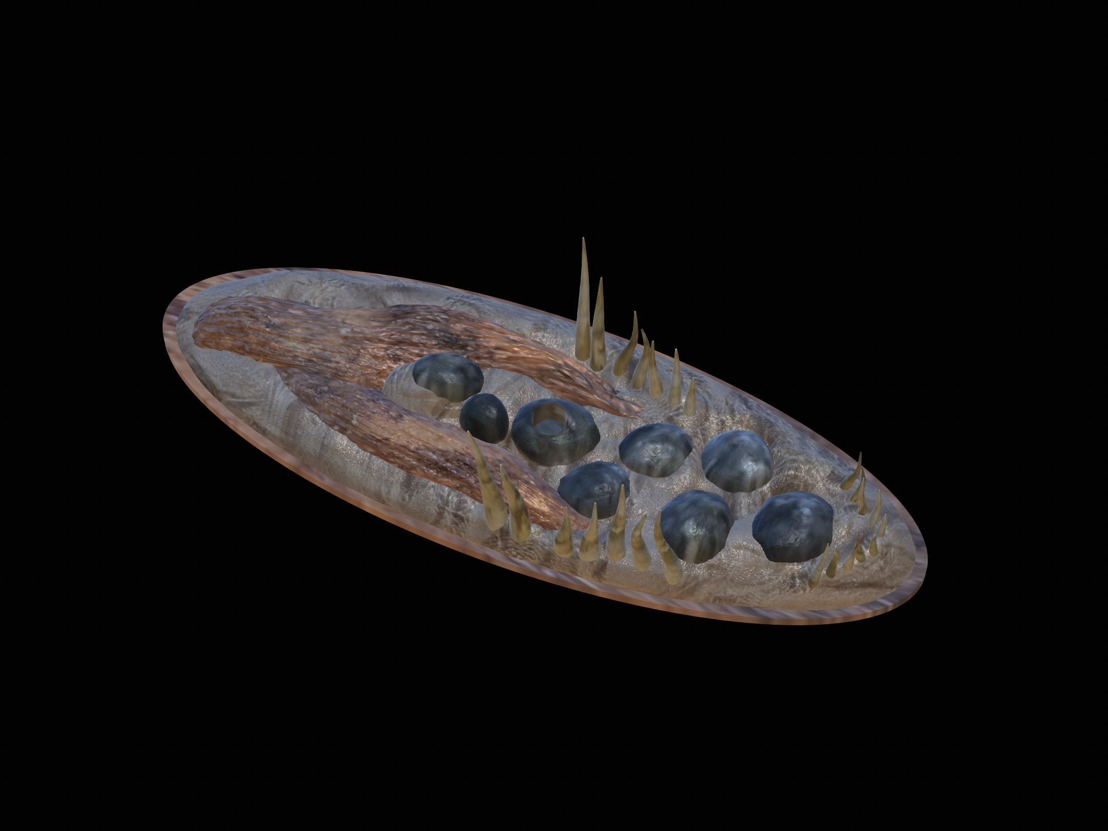 fish zander in motion underwater statue detailed texture  3D print model_5