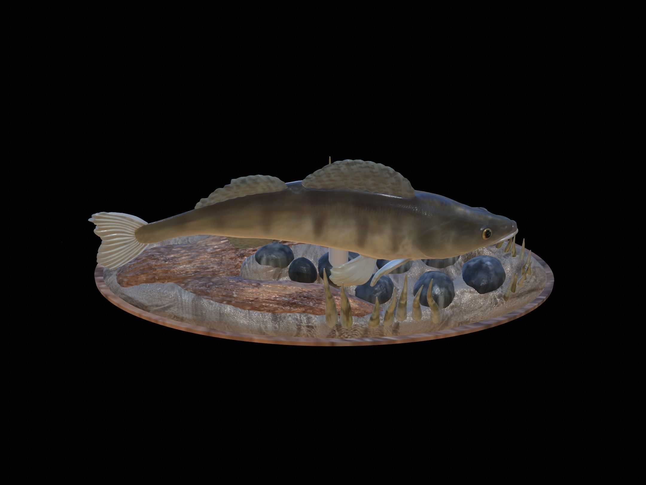 fish zander in motion underwater statue detailed texture  3D print model_23