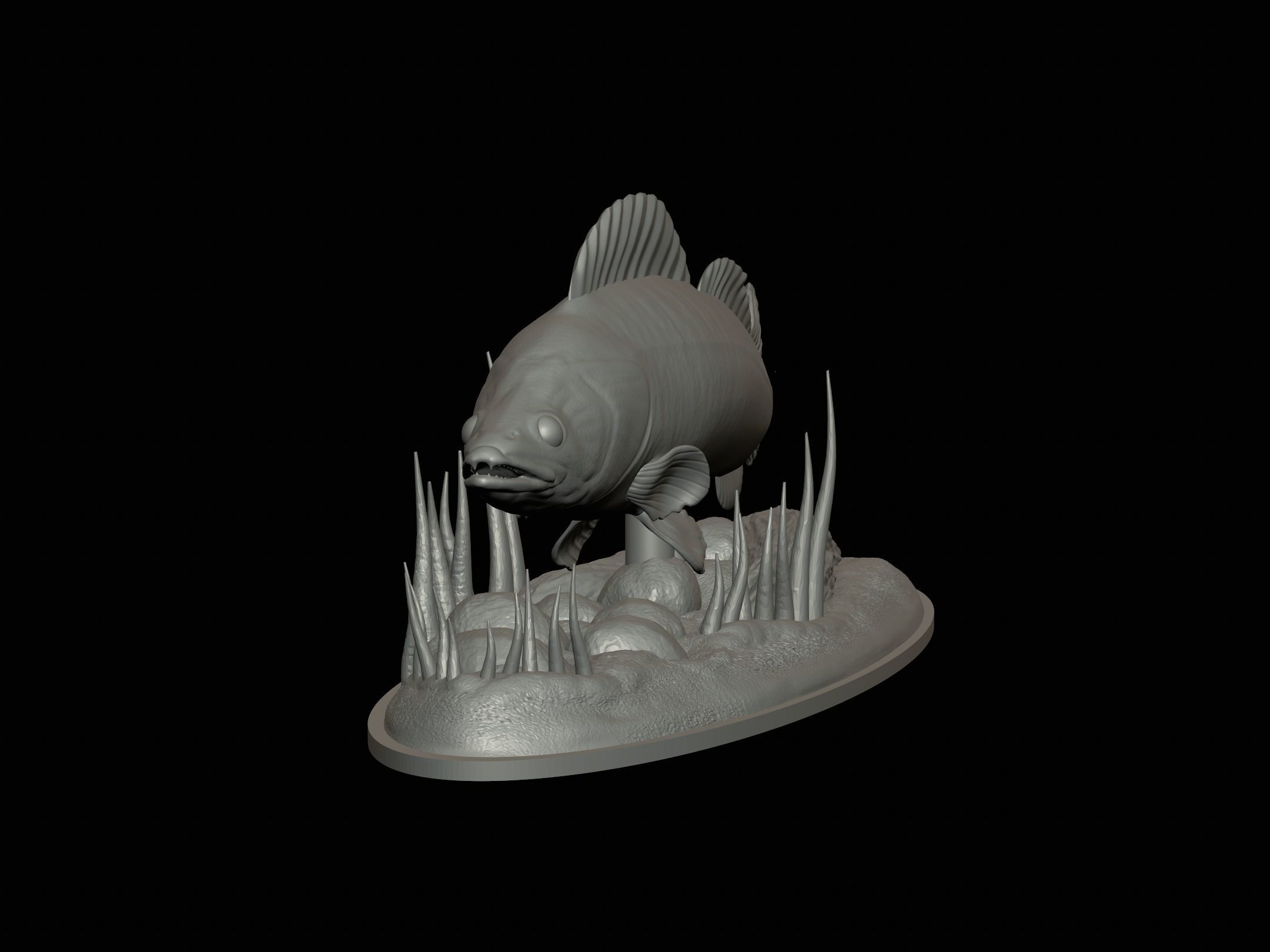 fish zander in motion underwater statue detailed texture  3D print model_13