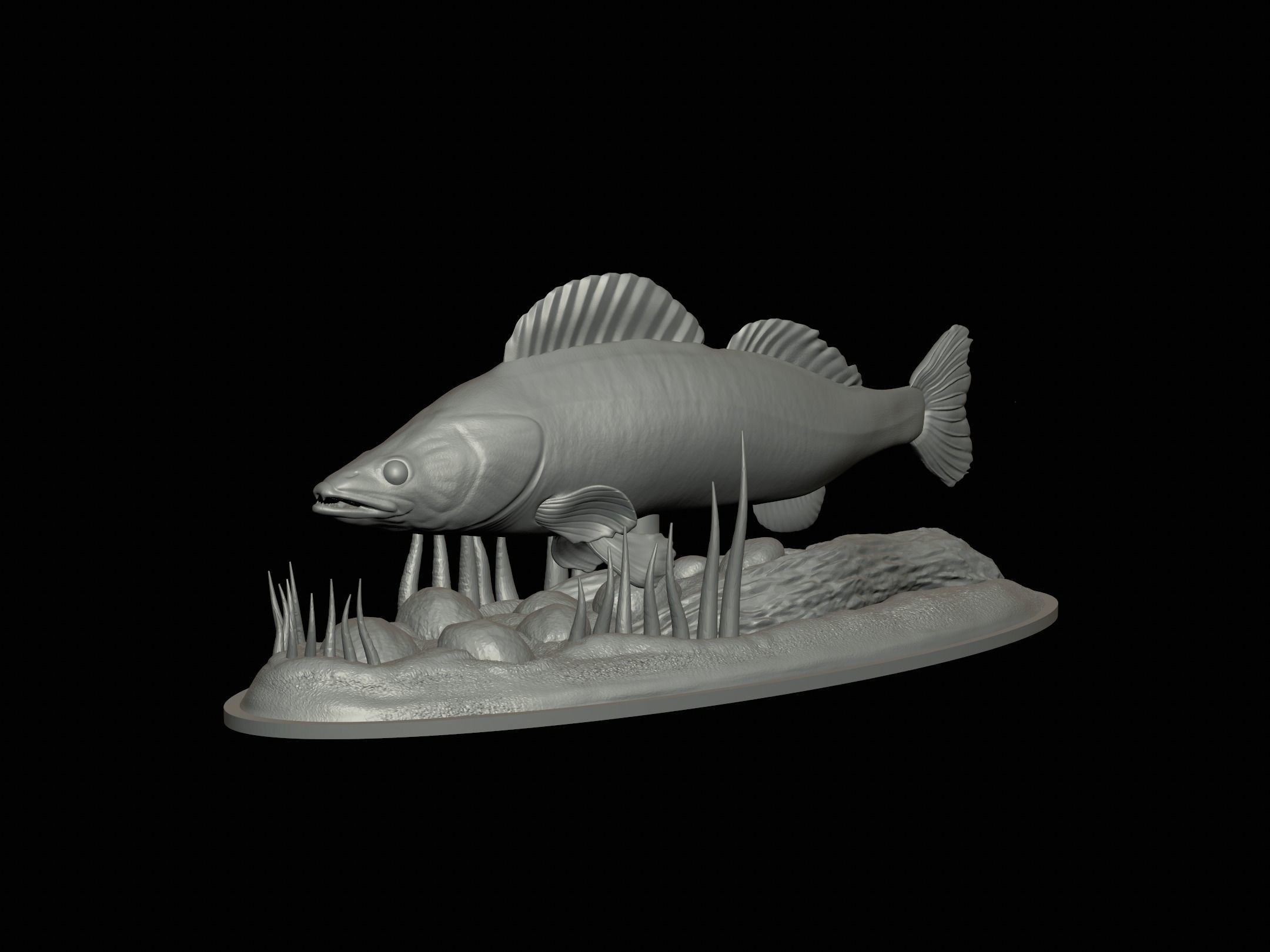 fish zander in motion underwater statue detailed texture  3D print model_12