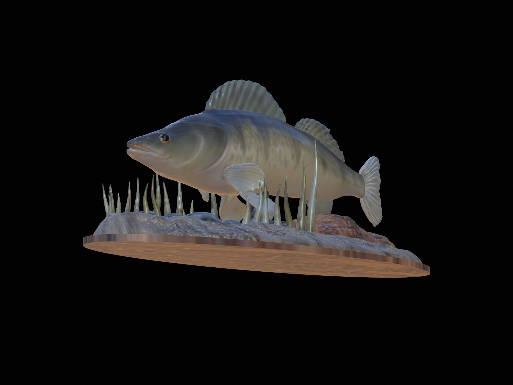 fish zander in motion underwater statue detailed texture  3D print model_3