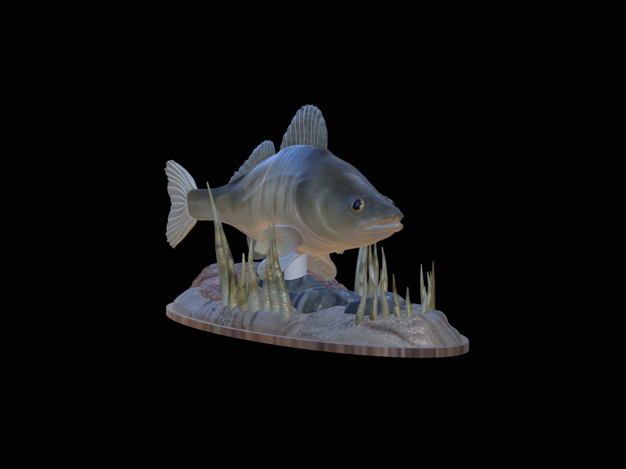 fish zander in motion underwater statue detailed texture  3D print model_21