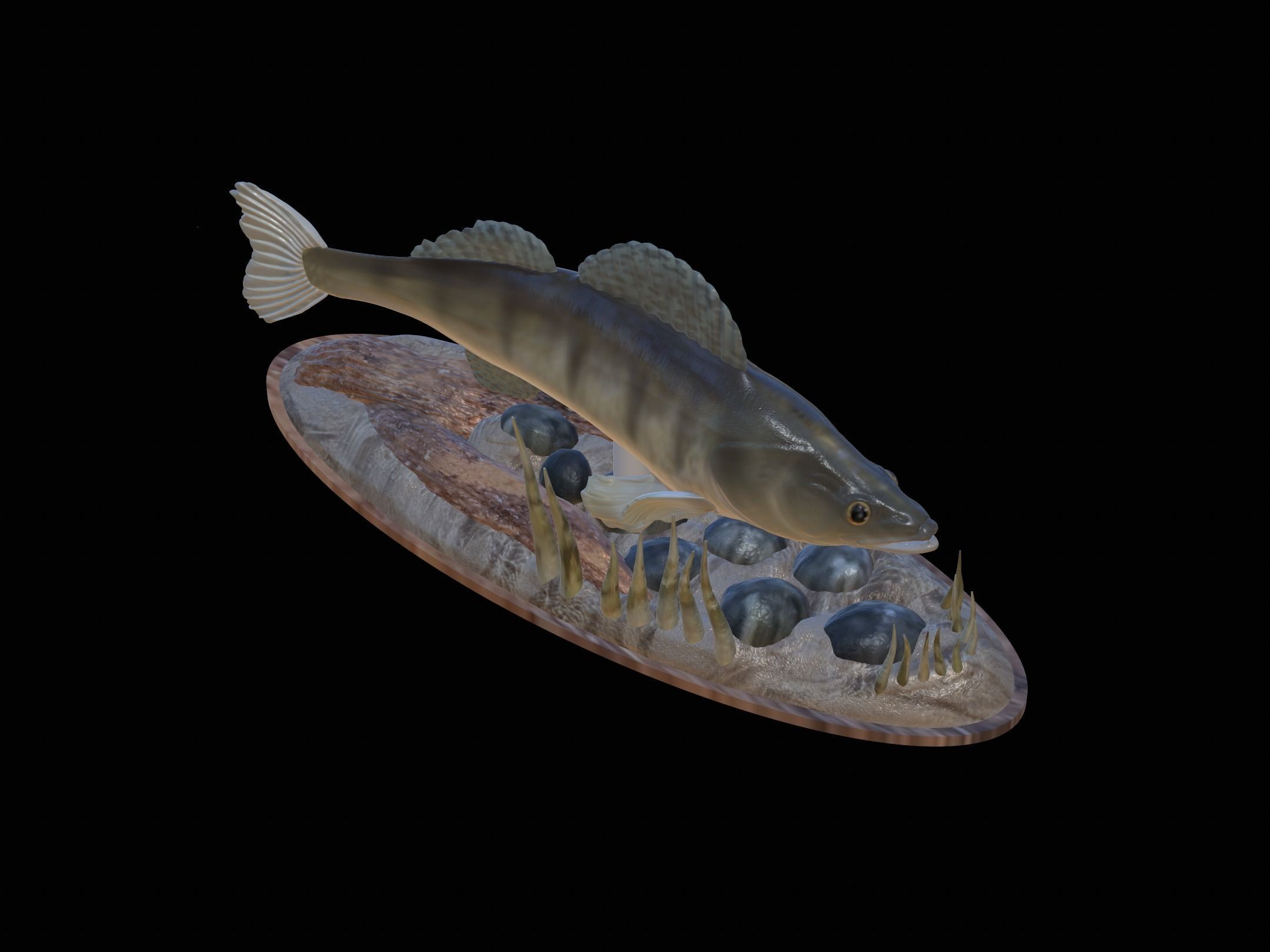 fish zander in motion underwater statue detailed texture  3D print model_22
